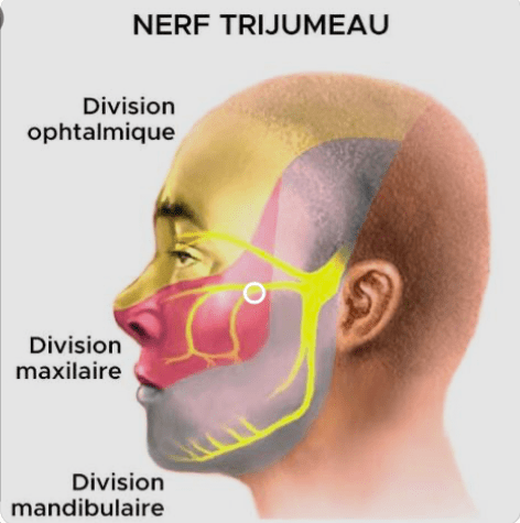 nerf trijumeau